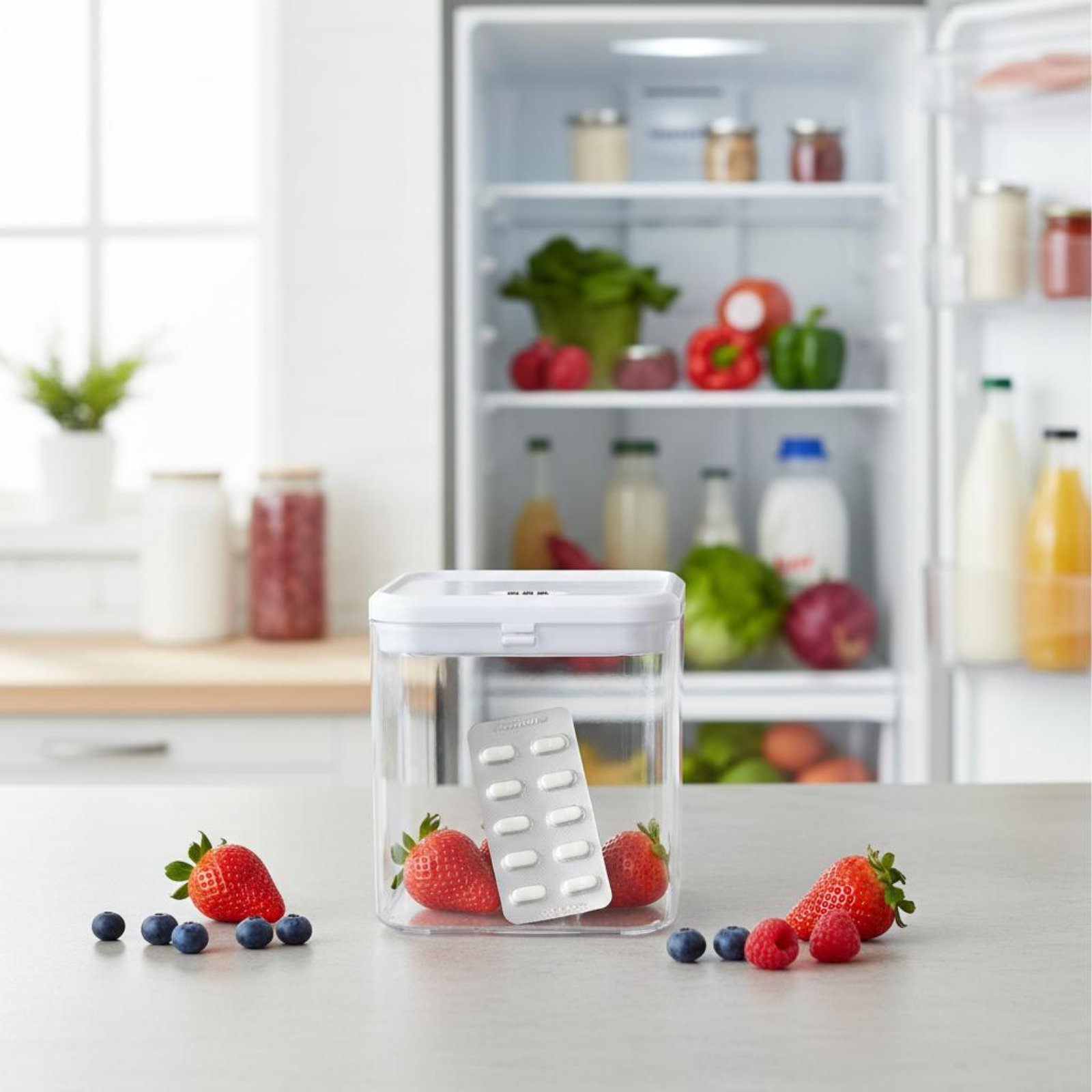 Clear Lockable Box Versatile L - Food & Snacks Coloring Book Bold & Easy Pdf ulasan dan harga