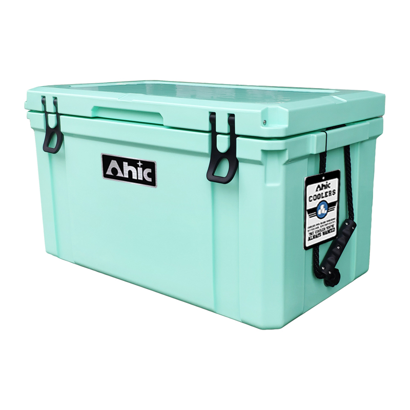 75L Insulated PE Ice Cooler Bo - Food & Snacks Coloring Book Bold & Easy Pdf ulasan dan harga